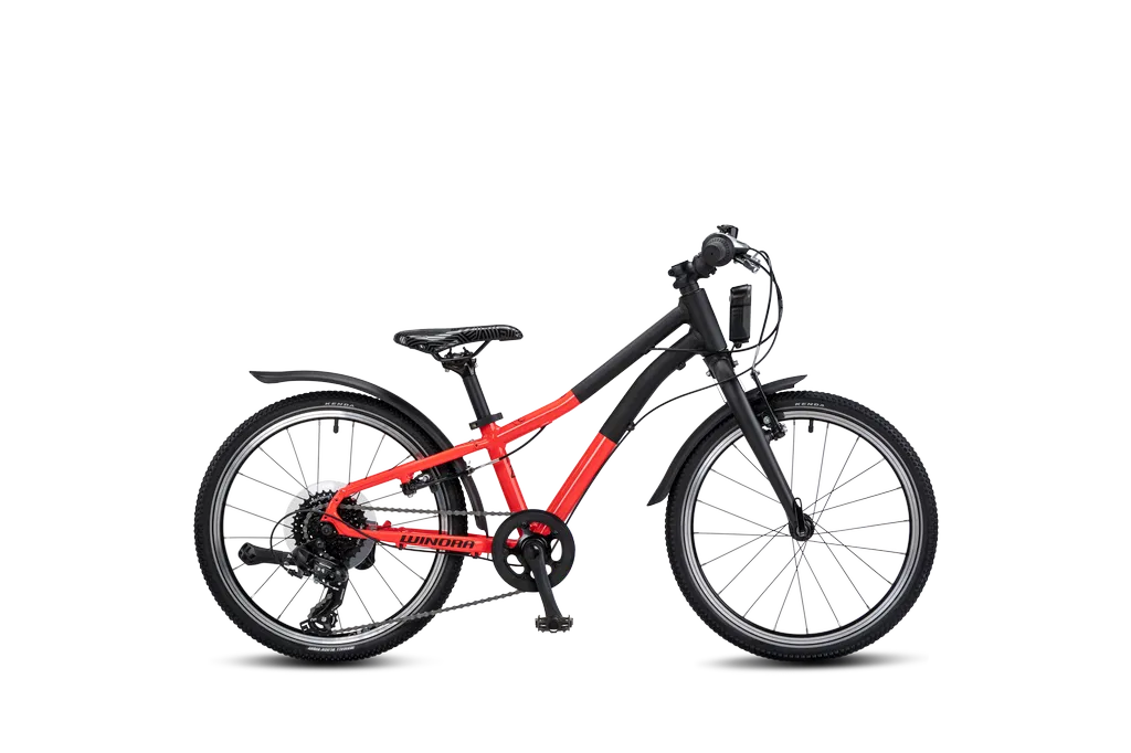 Winora Rage 20