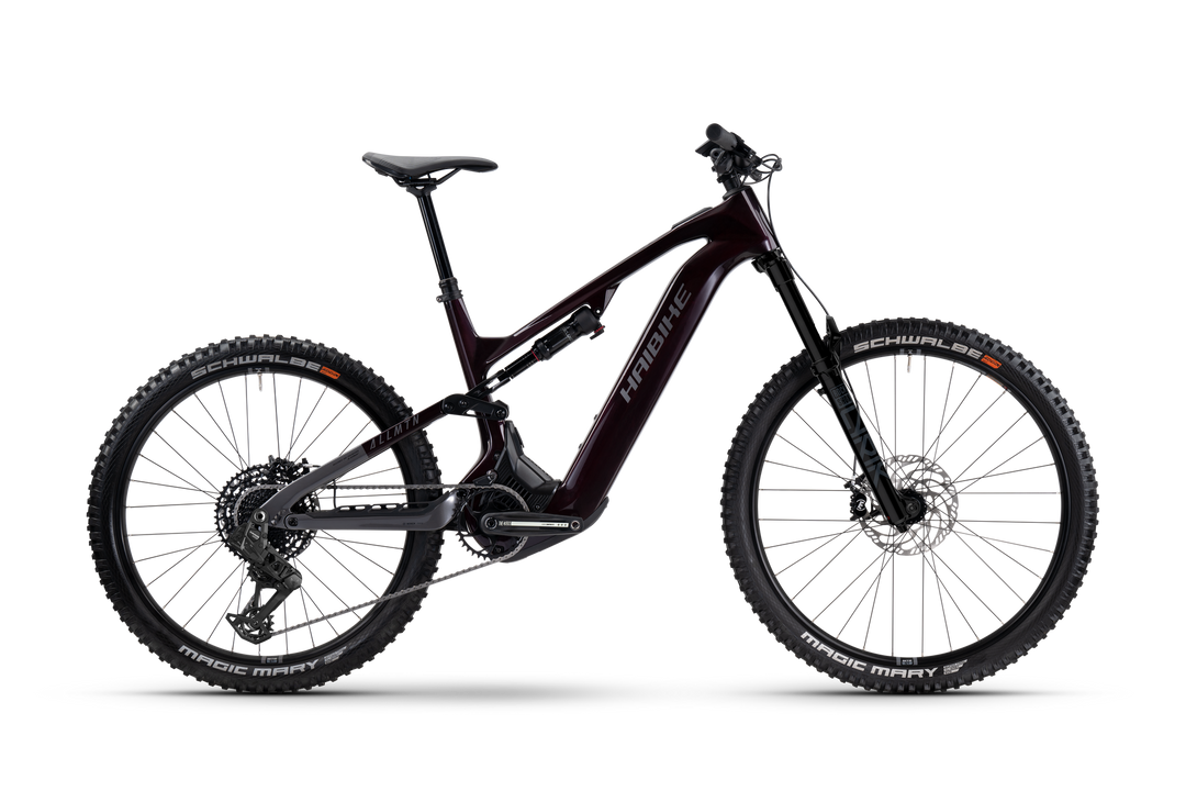 Haibike ALLMTN CF 9
