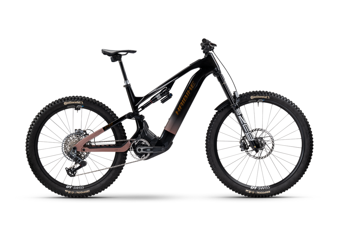 Haibike HYBE CF 11