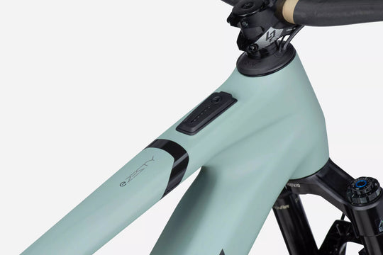 LAPIERRE e-ZESTY AM LTD