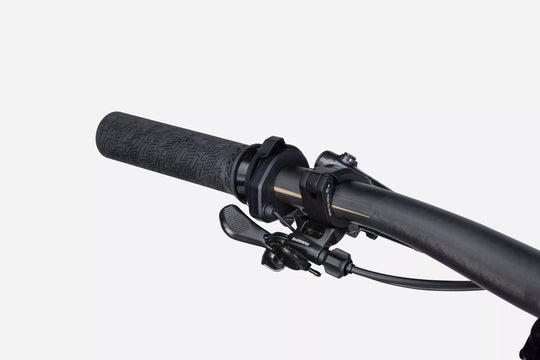 LAPIERRE e-ZESTY AM LTD