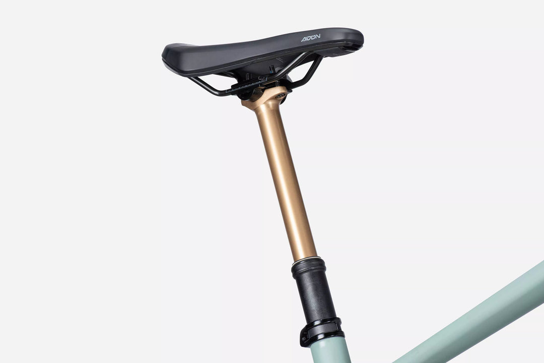 LAPIERRE e-ZESTY AM LTD