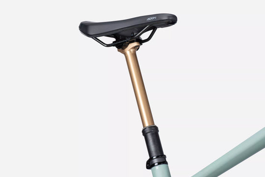 LAPIERRE e-ZESTY AM LTD