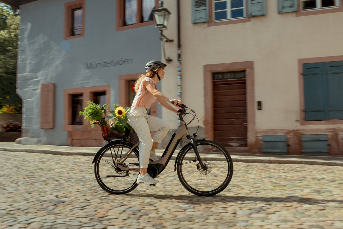 E-Trekking / E-City Bikes