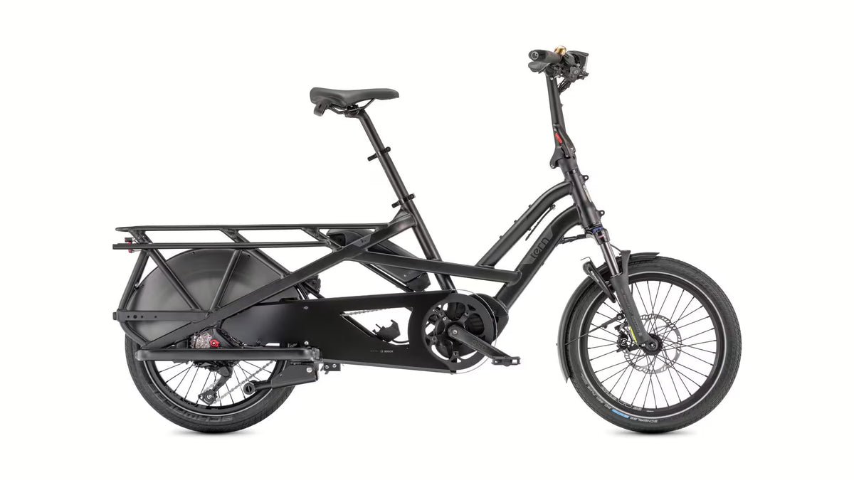 TERN GSD P10