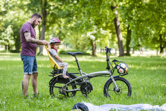 Tern VEKTRON S10