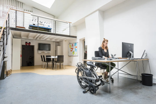 Tern VEKTRON S10
