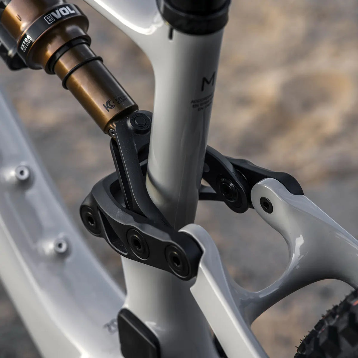 Amflow PX Carbon Pro 2026