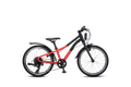Winora Rage 20