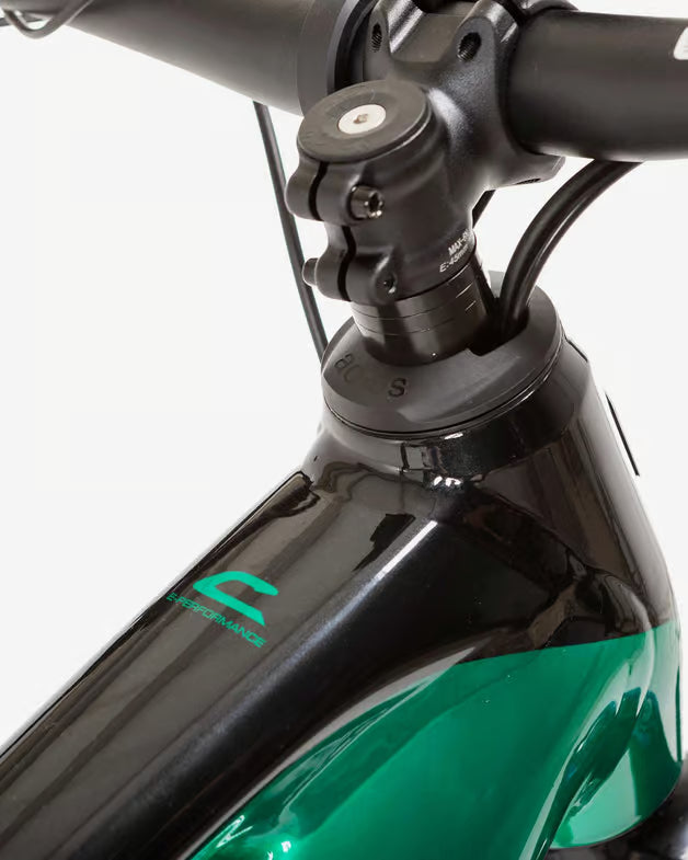 CORRATEC E-Power RS 160 PRO PLUS