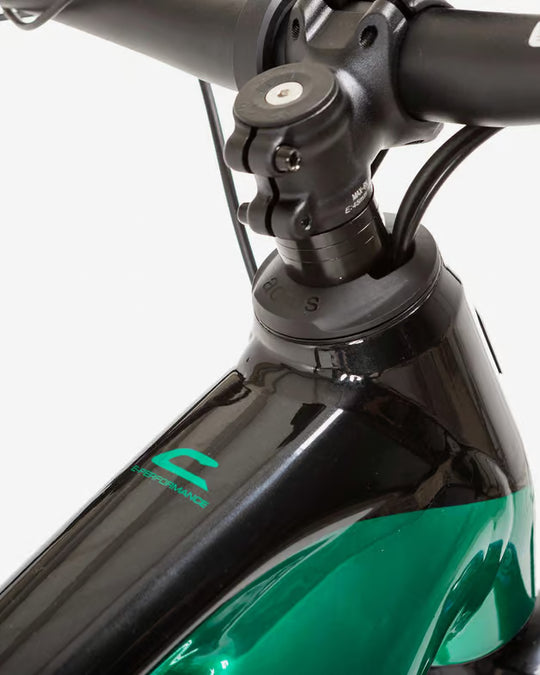 CORRATEC E-Power RS 160 PRO PLUS