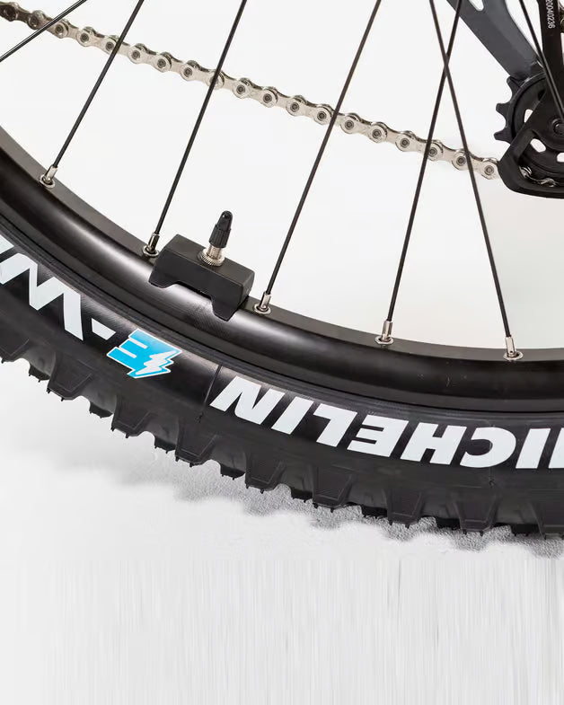CORRATEC E-Power RS 160 PRO PLUS