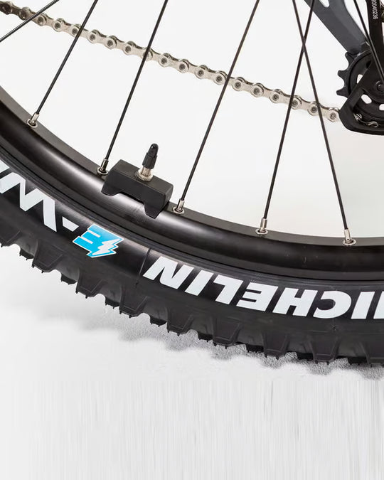 CORRATEC E-Power RS 160 PRO PLUS