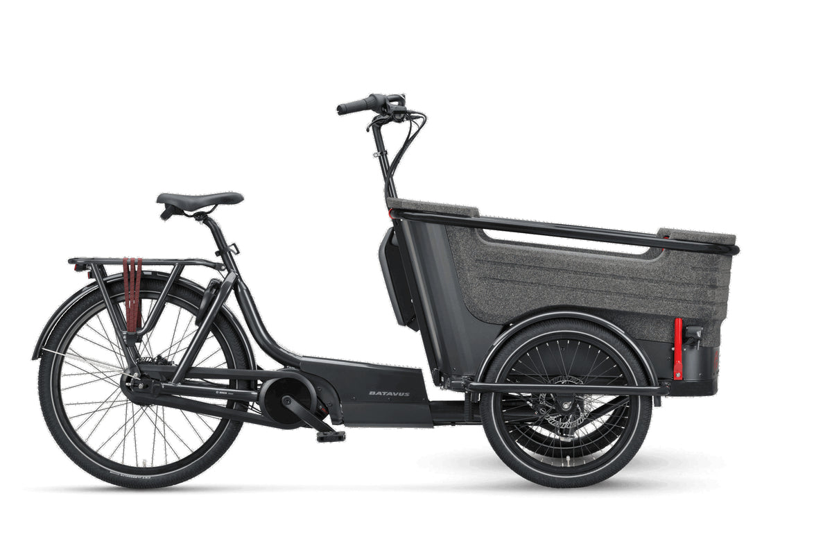 Batavus Fier-3 Env Transportrad
