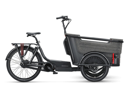Batavus Fier-3 Env Transportrad