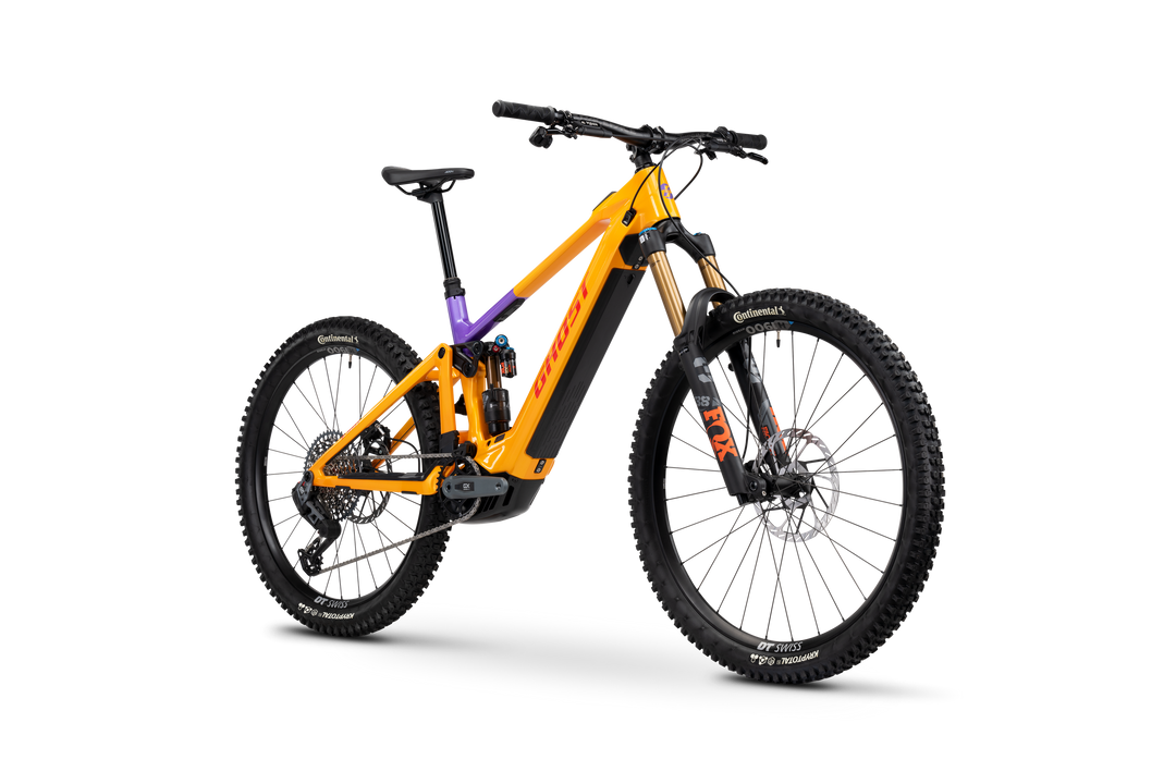 ghost oder cube e-bike GHOST E-RIOT CF FULL PARTY – bikeshop2000