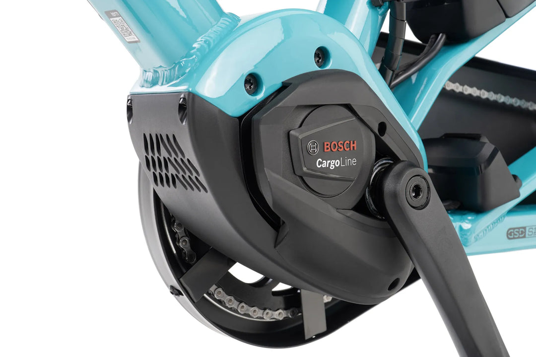 Tern GSD S10