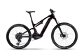 Haibike ALLMTN CF 9