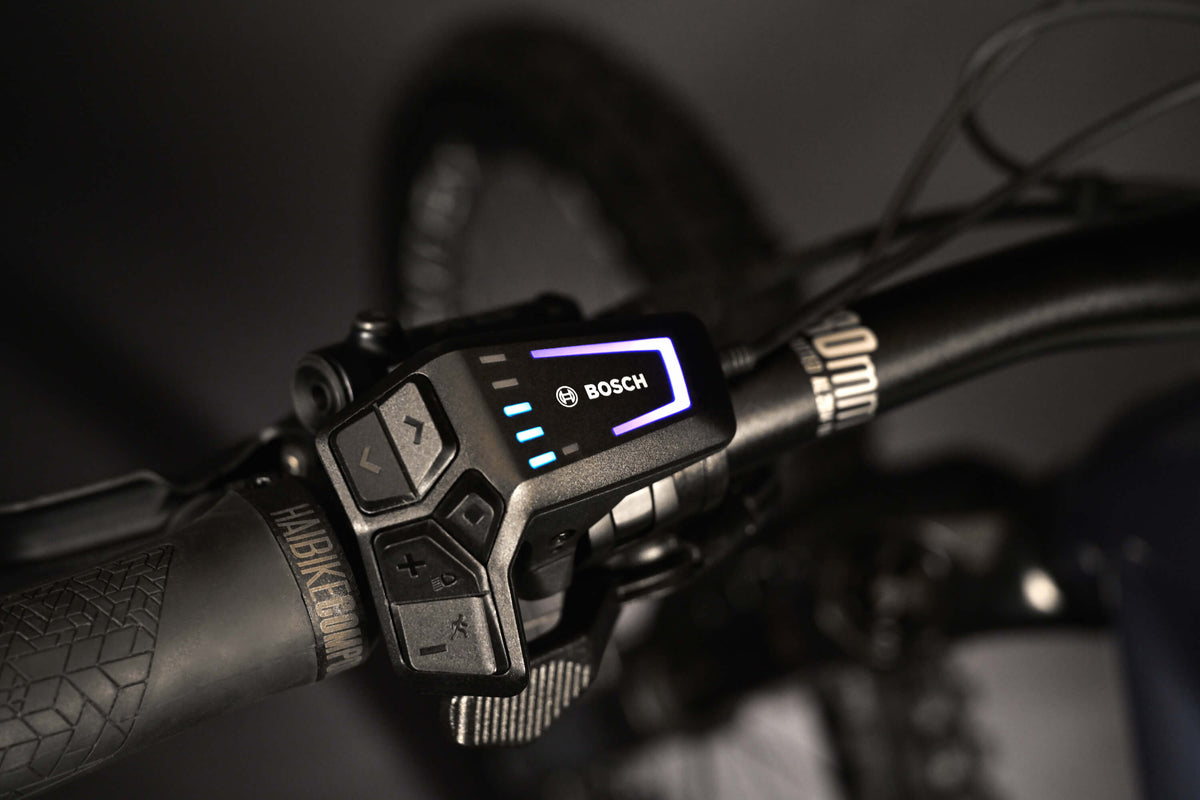 Haibike AllMtn CF 11