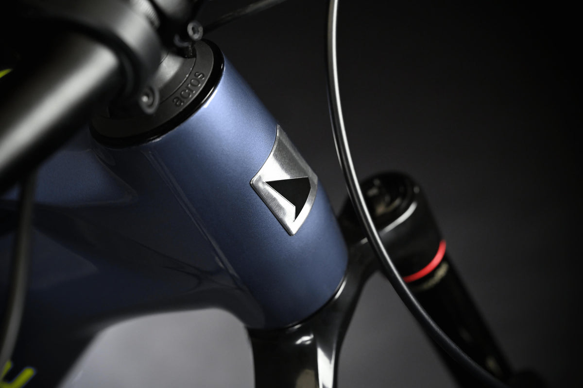 Haibike AllMtn CF 11