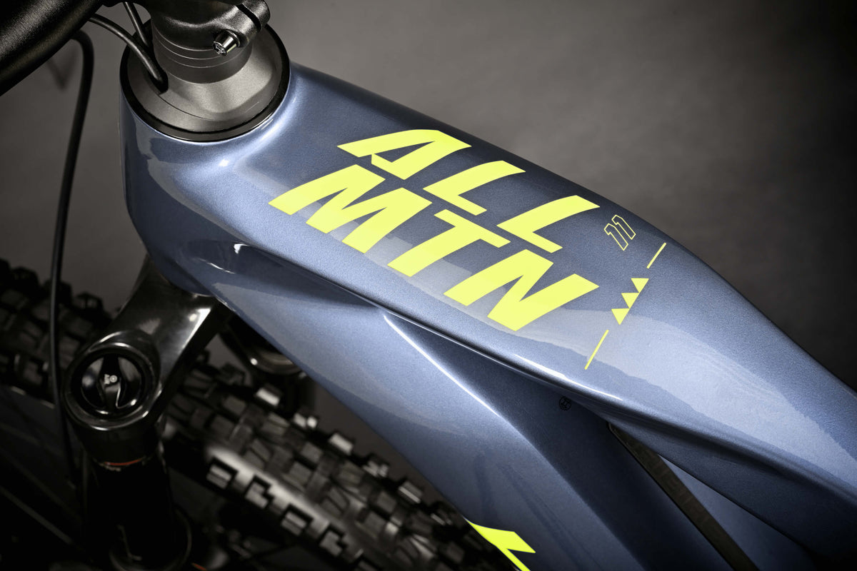 Haibike AllMtn CF 11