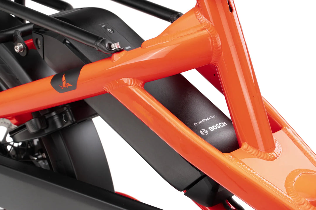 Tern HSD P10