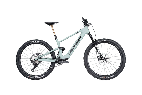 LAPIERRE e-ZESTY AM LTD