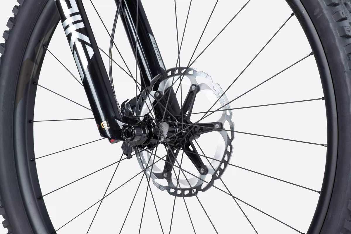 LAPIERRE e-ZESTY AM LTD