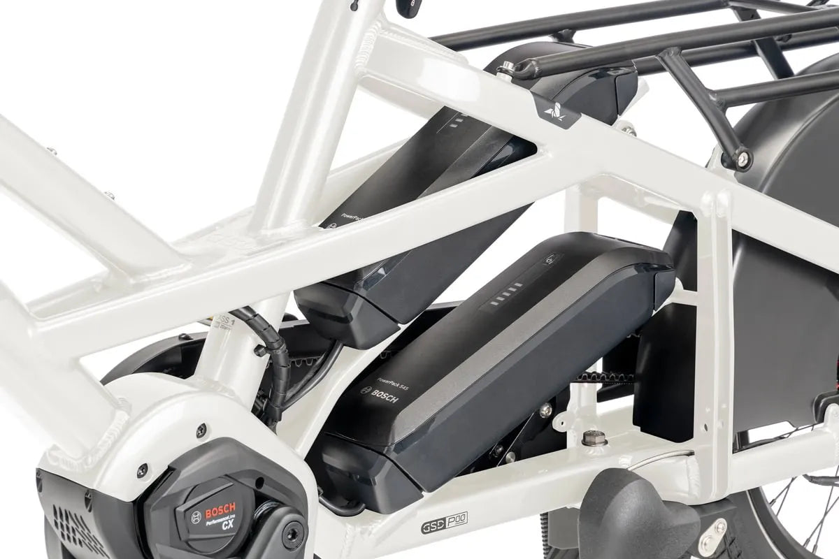 Tern GSD P00 2026