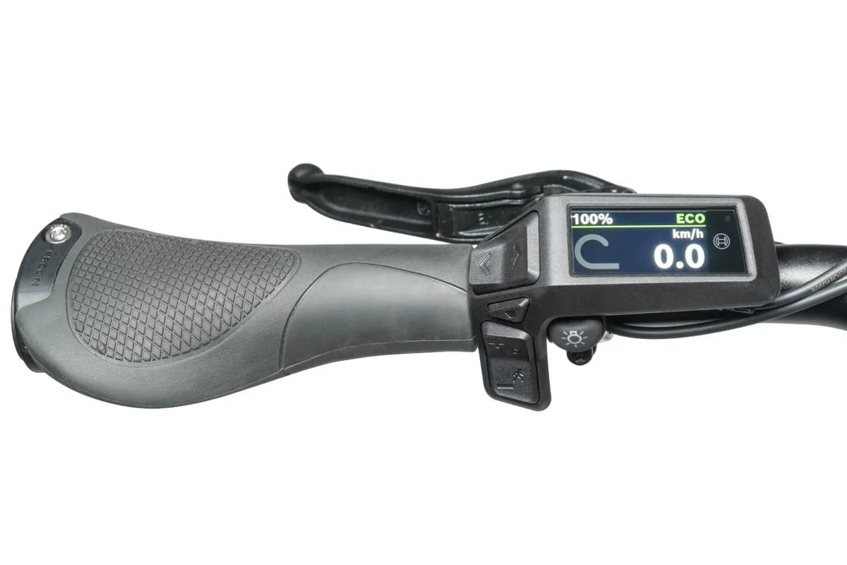 Tern GSD P00 2026