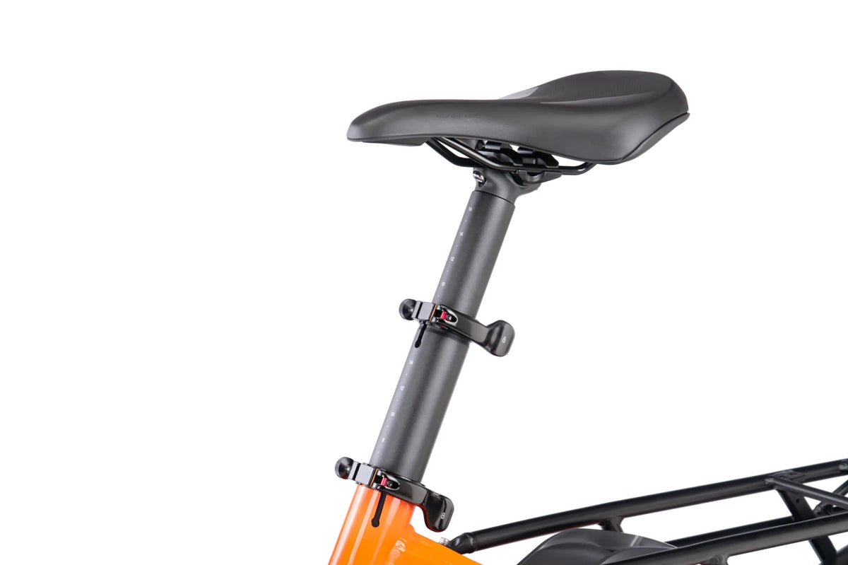 Tern GSD P00 2026