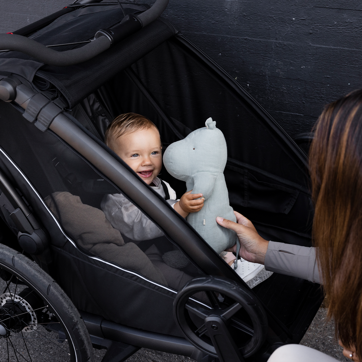 Thule Chariot Sport 2